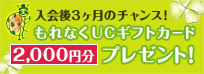 ファーストプレゼントキャンペーン