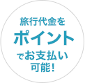 旅行代金をポイントでお支払い可能